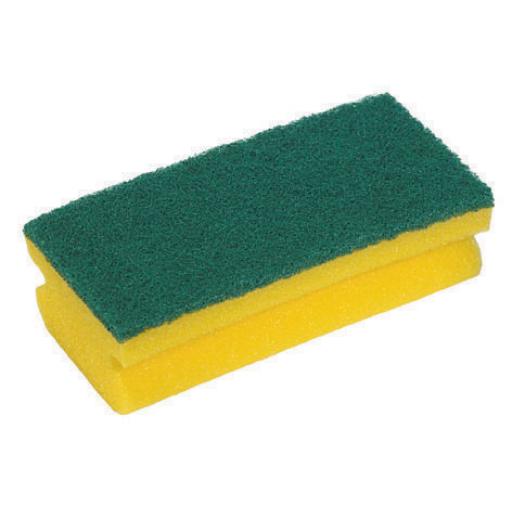 Foam Back Sponge Scourer (Pack of 10)